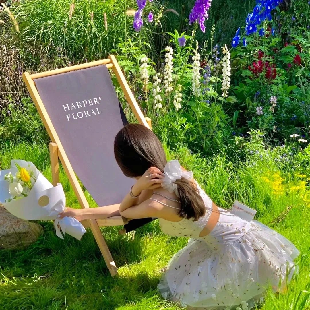 隔壁的星光海报